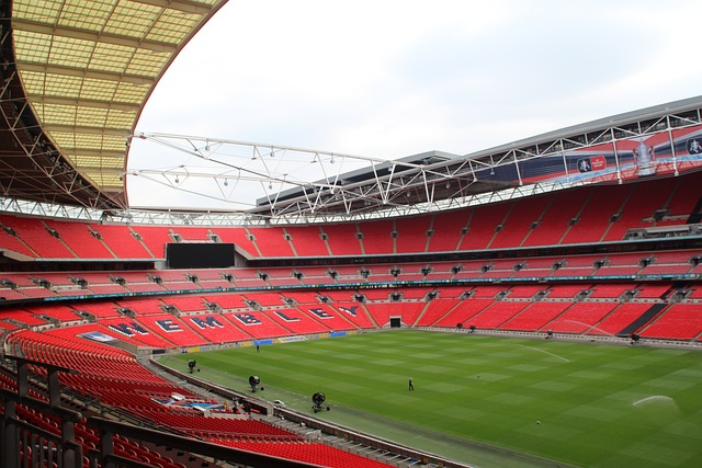 标回合控